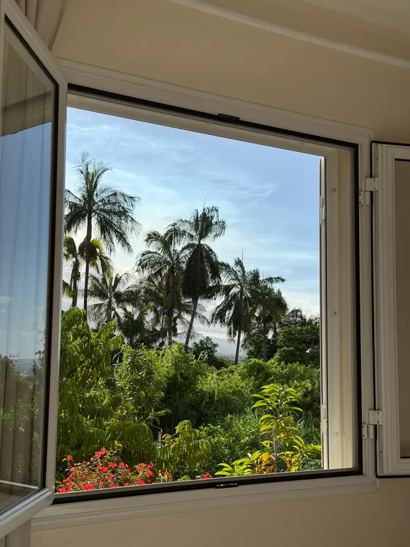 Tropical vegetation in the 500m² garden at Villa Bigaradier, Réunion