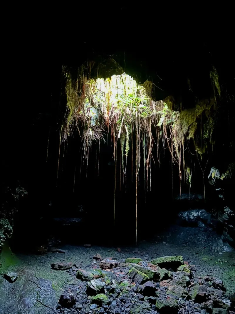 Lava tube visit near Sainte-Rose, Réunion