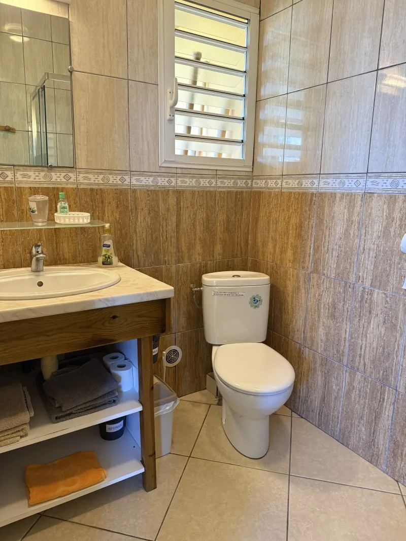 Bathroom amenities at Villa Bigaradier, Réunion