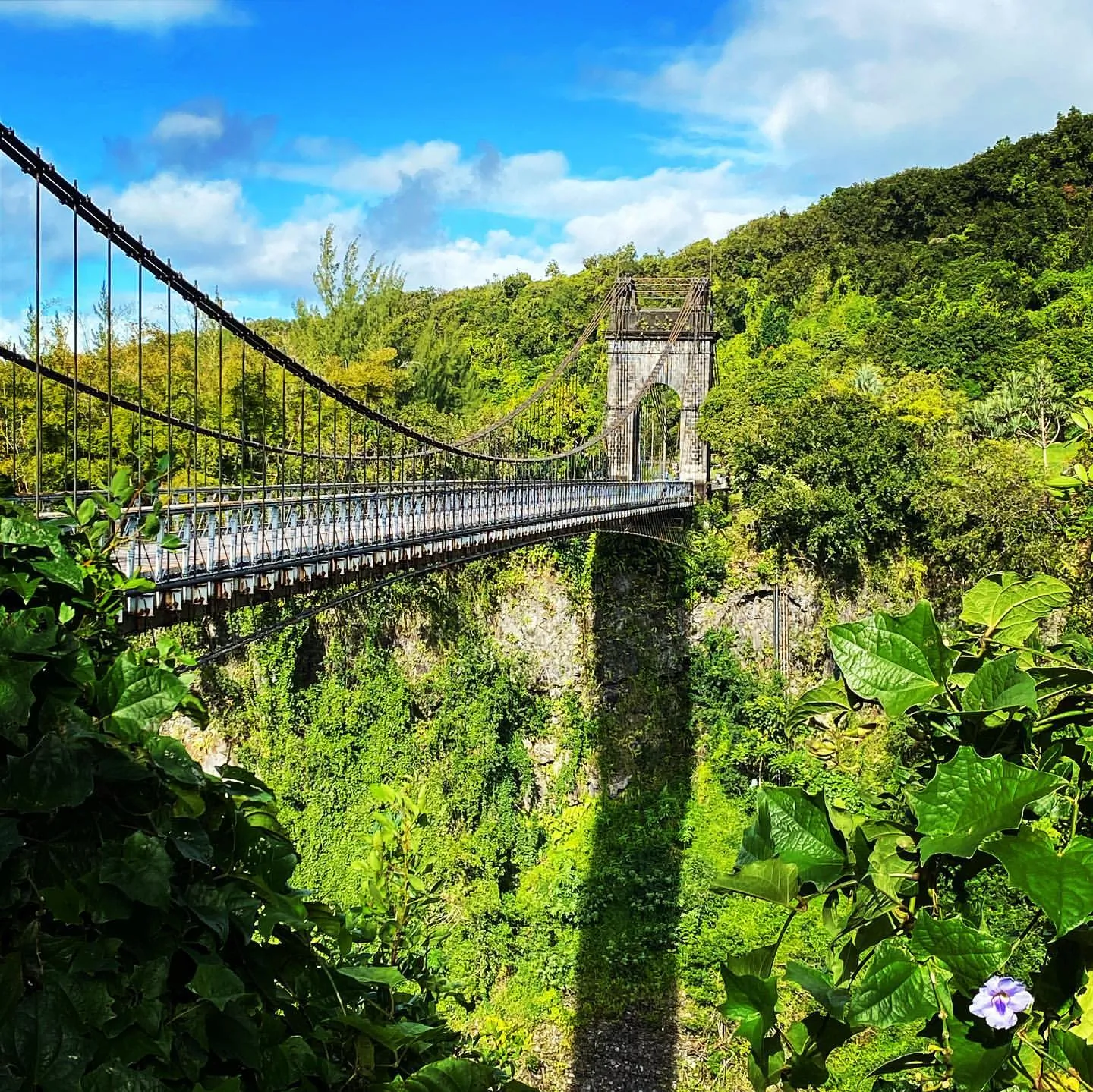 Les gorges de la Rivière de l'Est depuis le pont suspendu, côte Est de La Réunion